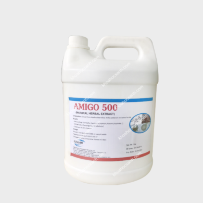 AMIGO 500