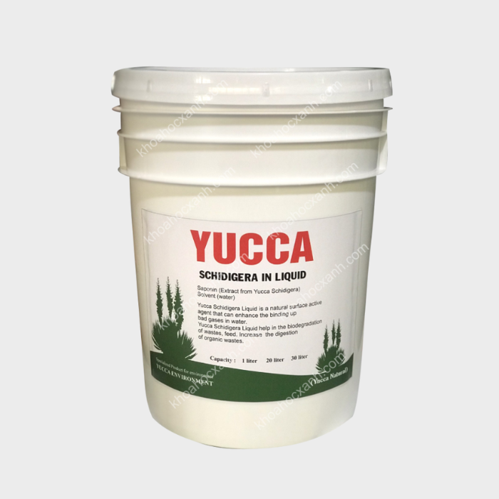 YUCCA